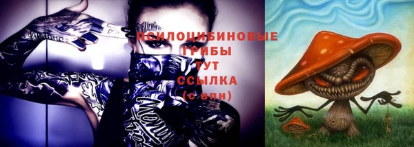 прущий лед Алексин